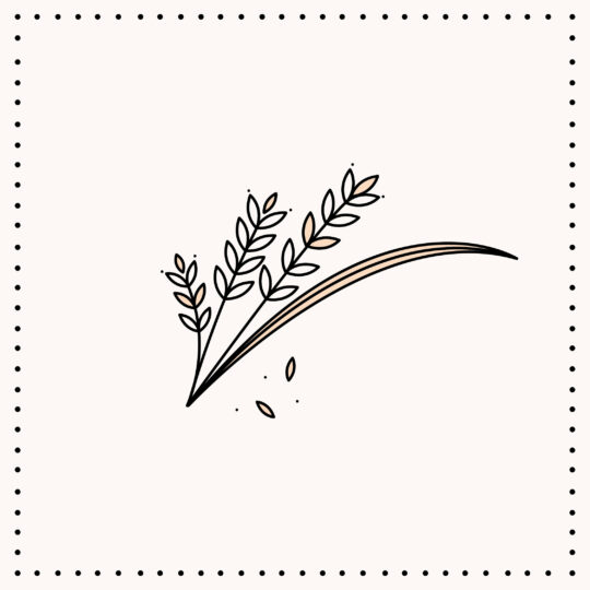 Άλευρα - Δημητριακά