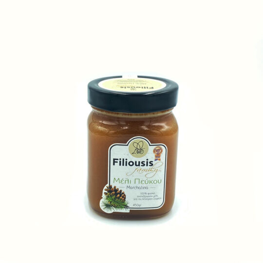 Μέλι απο Πεύκο 450g Filiousis Family