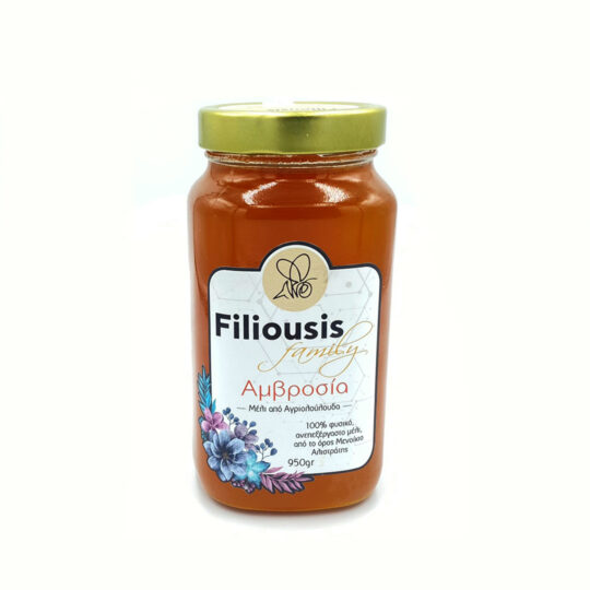 Μέλι απο Αγριολούλουδα 950g Filiousis Family