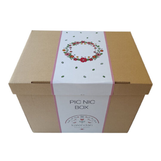 Pic nic box