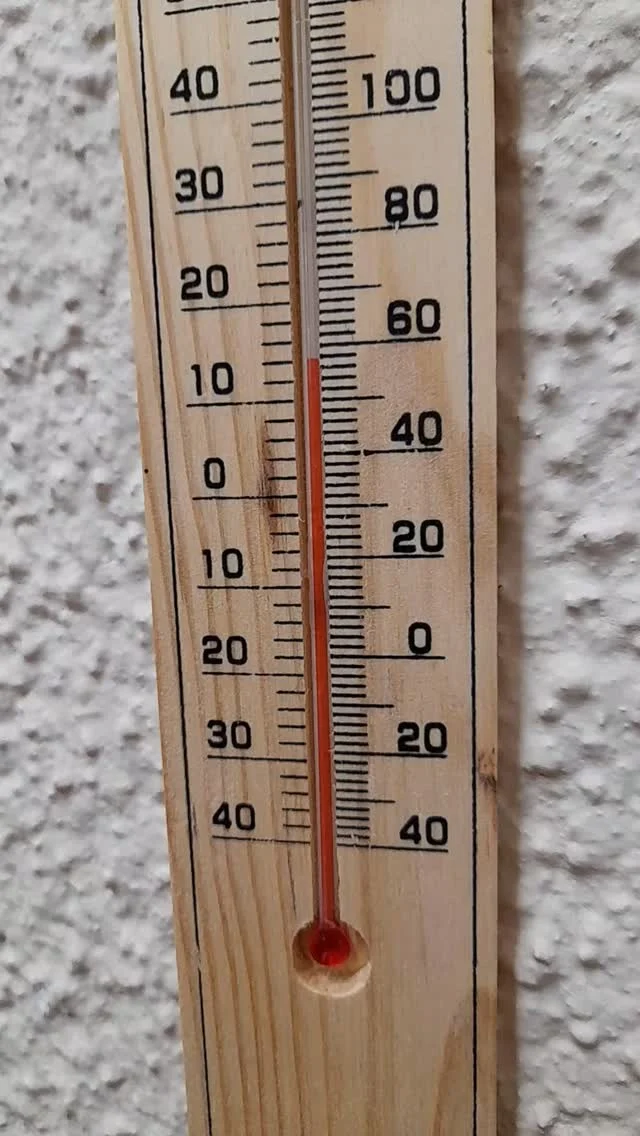 Sneak preview

#seasonalfood #comingsoon #staytuned #onlineshopping